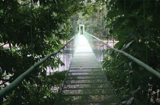 Sports and Entertainment
 di Selva Verde Lodge & Rainforest Reserve