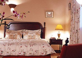 Room
 di Frances Santo Domingo MGallery Collection