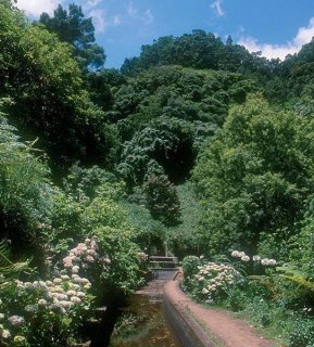 General view
 di Euro Moniz Inn