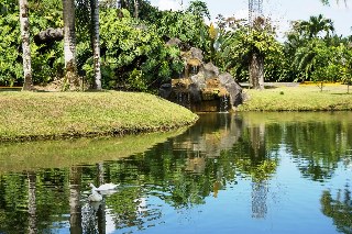 General view
 di Arenal Paraiso Resort & Spa