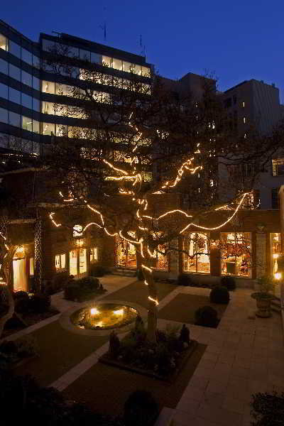 Terrace
 di Stanhope