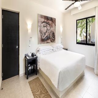 Room Room
