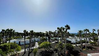 Palmeras Garden