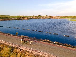 Vila Gale Alentejo Vineyards (Clube de Campo)