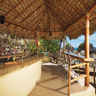 Dreams Huatulco Resort & Spa All Inclusive photo 9