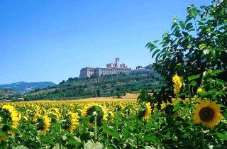 Hotel Cristallo Assisi, Assisi