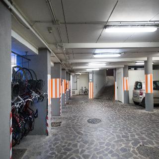 Adler Cavalieri, Florence