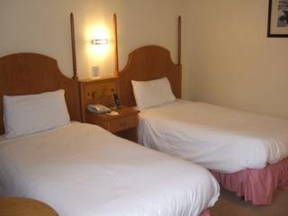 Room
 di Copthorne London Gatwick