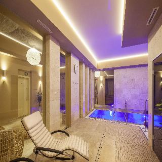 Kosher Hotel King David Kosher Hotel King David