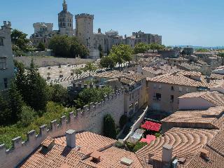 Hotel Mercure Pont d'Avignon Centre