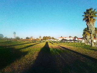 General view
 di Club d'Azeitao
