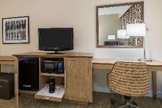 1 King Mobility Access With Tub