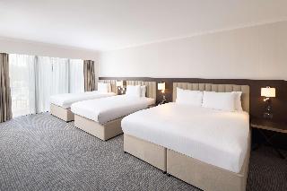 King Deluxe Family Room