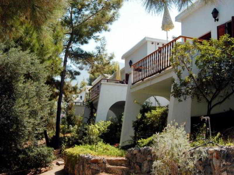 General view
 di Onar Village