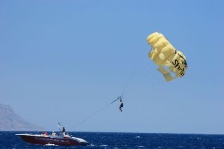 Sports and Entertainment
 di Sultan Gardens