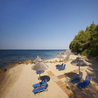 Blue Dolphin