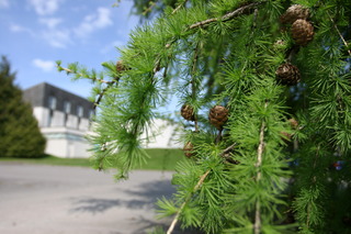 Eight Acres Hotel, Aberdeen