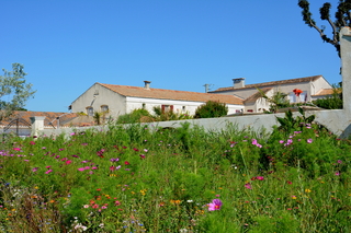 Auberge du Mas de la Feniere, Arles