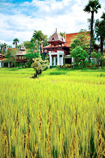 General view
 di Dhara Dhevi Hotel Chiang Mai