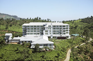 General view
 di Tea Factory