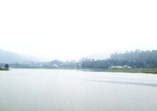 General view
 di Tea Factory