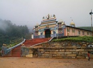 General view
 di Tea Factory