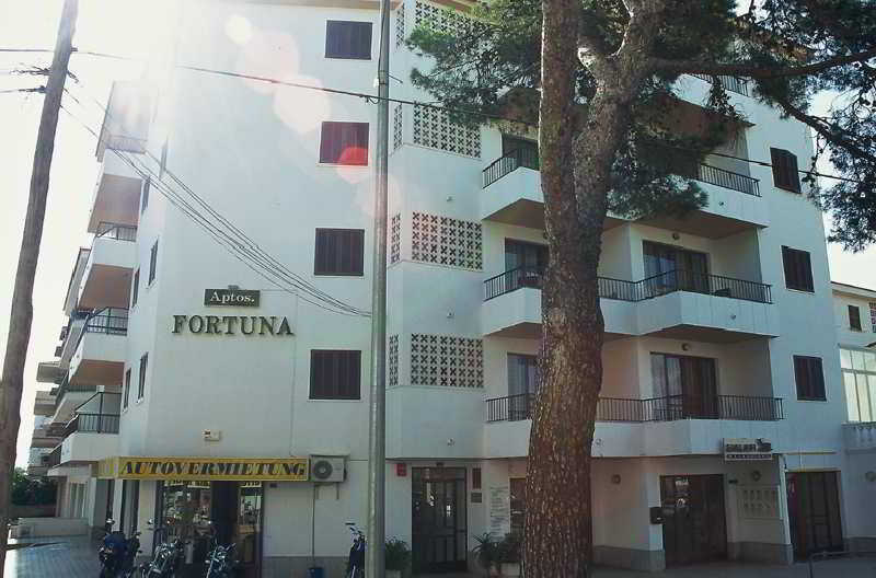 General view
