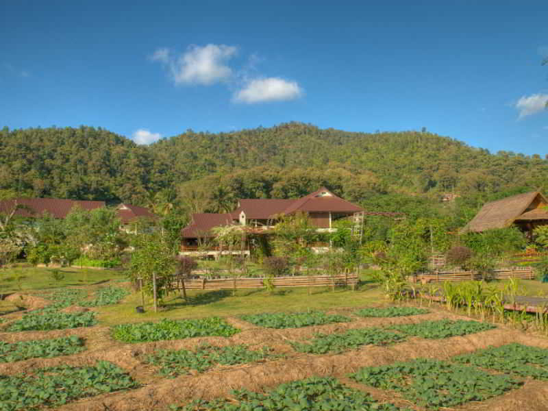 General view
 di Maekok River Village Resort