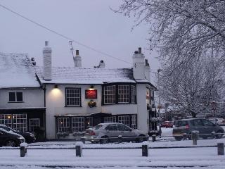 Red Lion