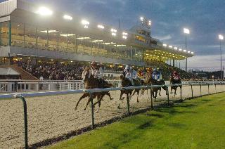 Holiday Inn Wolverhampton - Racecourse