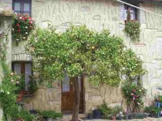 General view
 di Casa Degli Aranci