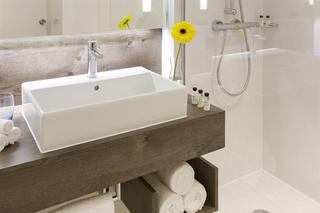 Holiday Inn Amsterdam, Amsterdam and vicinity