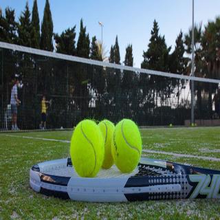 Sports and Entertainment thumbnail 33