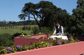General view
 di Enotel Golf - Santo da Serra