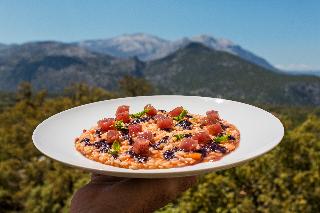 Il Querceto, North Sardinia