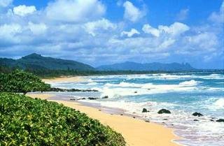 Beach
 di Kauai Beach Resort