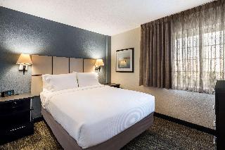 Room Room
