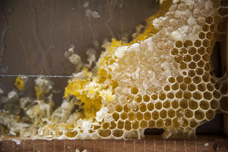 Delle Province, Rome