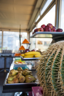 Delle Province, Rome