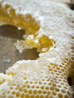 Delle Province, Rome