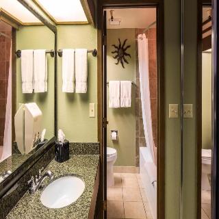 Room Room