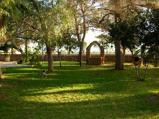 General view
 di Casa del Virrey