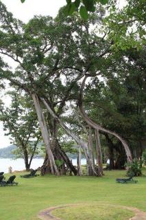 General view thumbnail 25