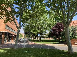 Universidad