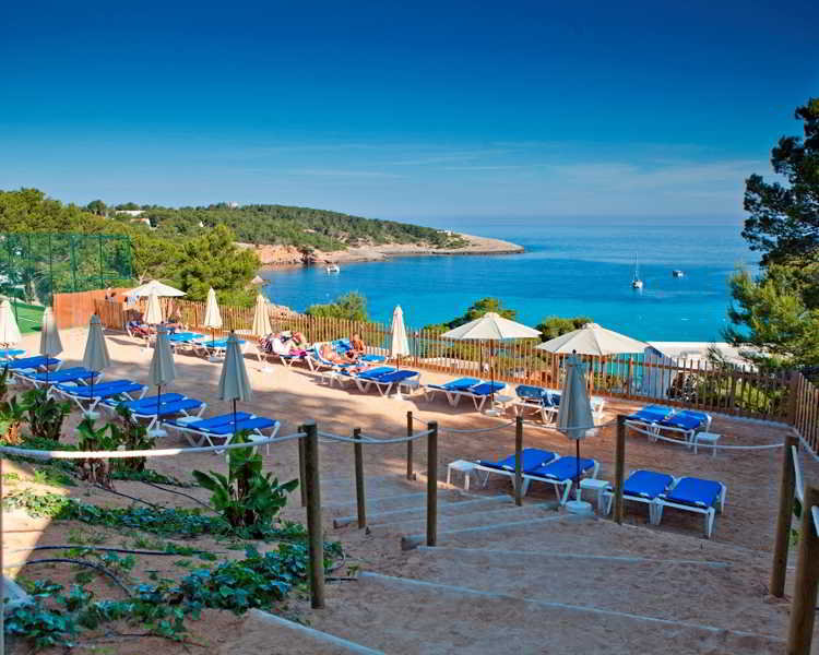 Terrace
 di Presidente