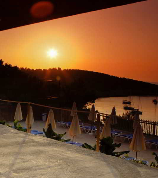 Terrace
 di Presidente