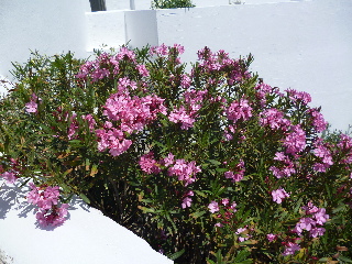 General view
 di Kanale's