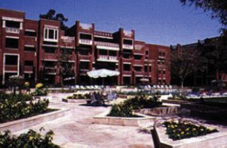 General view
 di Golden park