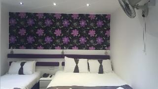 Euro Wembley, Londyn