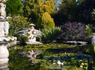 Terrace
 di Bosquemar